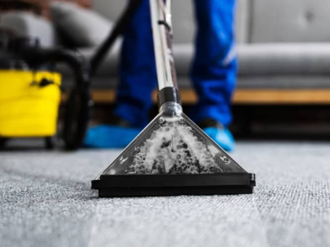 carpet maintenance tips