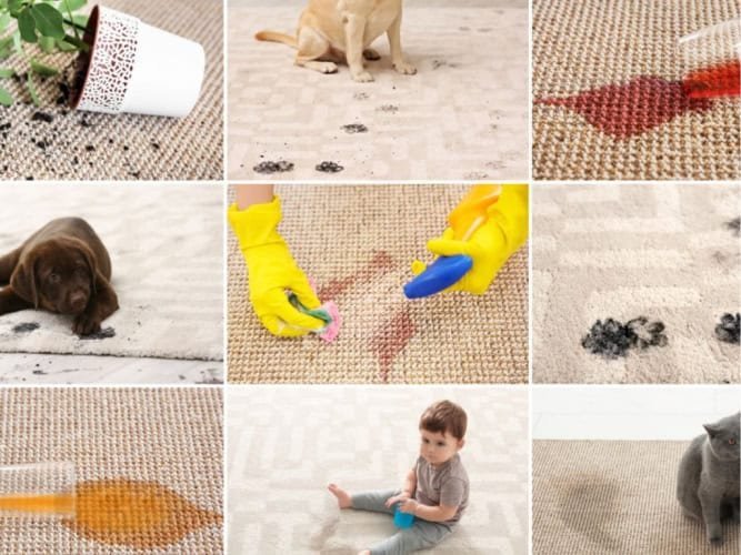 carpet stain removal