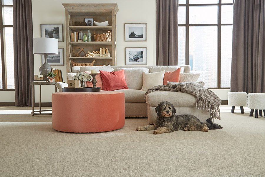Choose the most durable carpet for your home