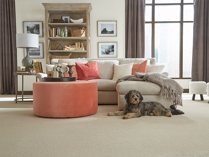 Choose the most durable carpet for your home